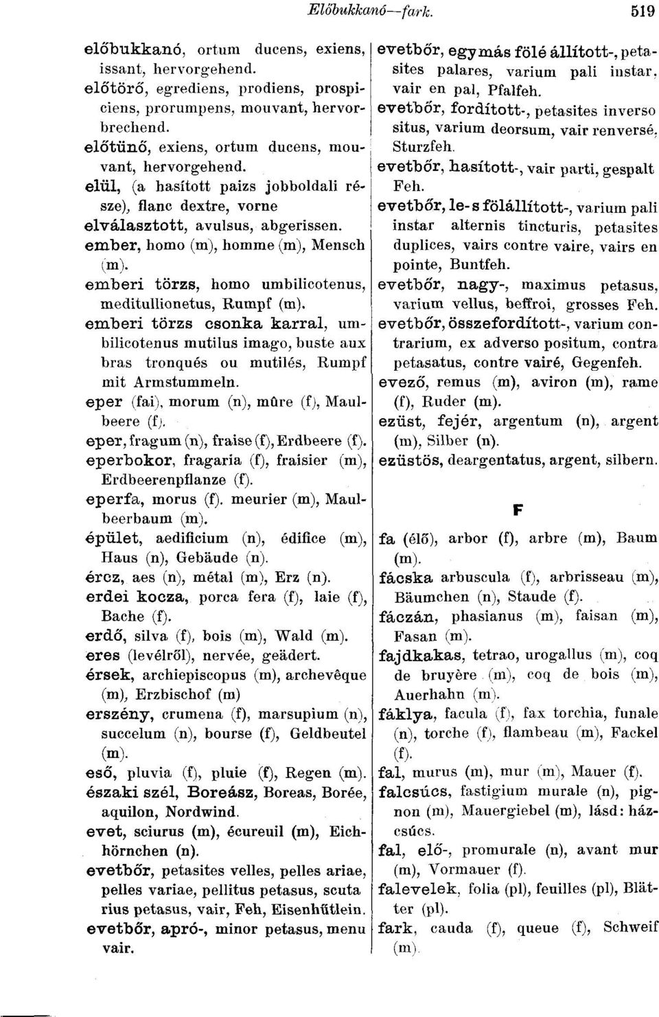 ember, homo (m), homme (m), Mensch l m )- emberi törzs, homo umbilicotenus, meditullionetus, Rumpf emberi törzs csonka karral, umbilicotenus mutilus imago, buste aux bras tronqués ou mutilés, Rumpf