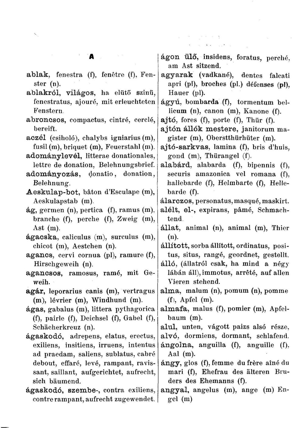 Aeskulap-bot, bâton d'esculape (m), Aeskulapstab ág, germen (n), pertica (f), ramus (m), branche (f), perche (f), Zweig (m), Ast ágacska, caliculus (m), surculus (m), chicot (m), Aestchen (n).