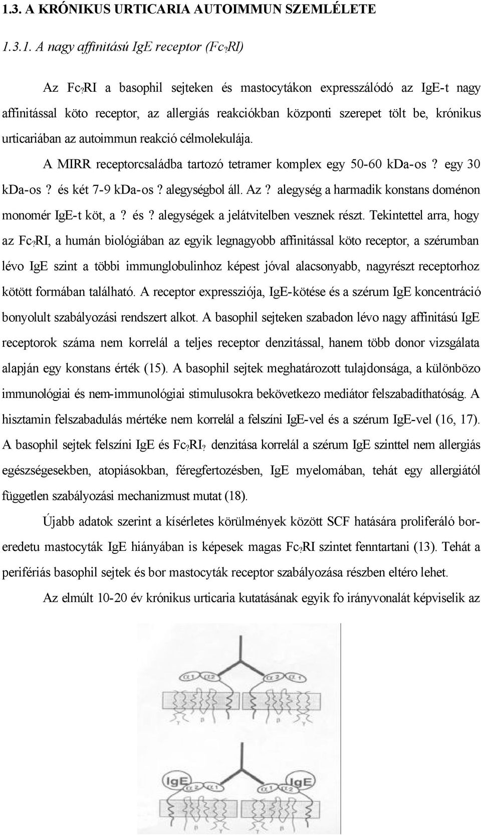 célmolekulája. A MIRR receptorcsaládba tartozó tetramer komplex egy 50-60 kda-os? egy 30 kda-os? és két 7-9 kda-os? alegységbol áll. Az? alegység a harmadik konstans doménon monomér IgE-t köt, a? és? alegységek a jelátvitelben vesznek részt.