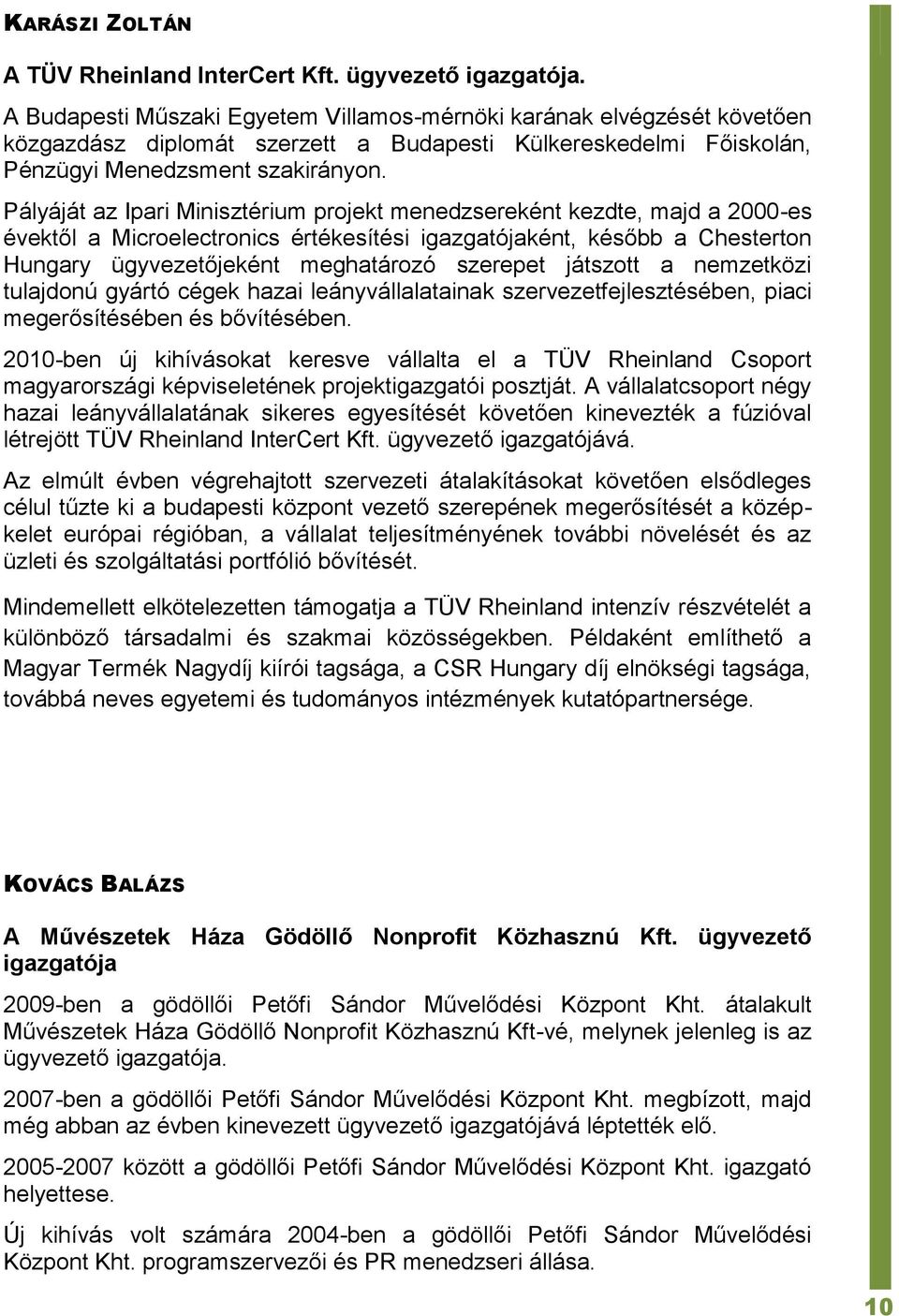 Pályáját az Ipari Minisztérium projekt menedzsereként kezdte, majd a 2000-es évektől a Microelectronics értékesítési igazgatójaként, később a Chesterton Hungary ügyvezetőjeként meghatározó szerepet