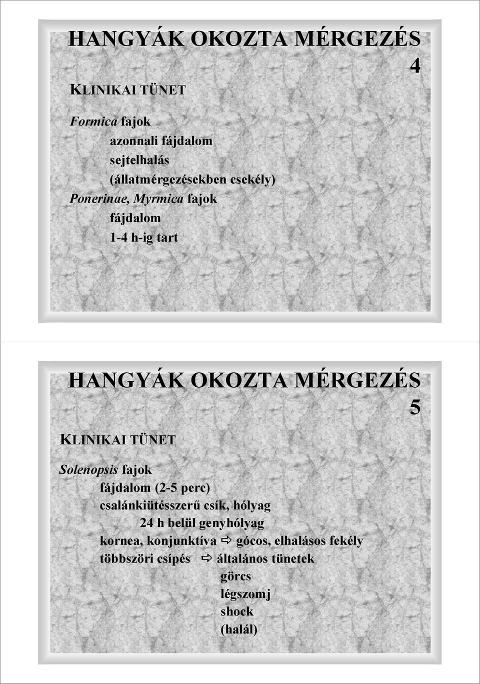 MÉRGEZÉS 5 KLINIKAI TÜNET Solenopsis fajok fájdalom (2-5 perc) csalánkiütésszerő csík, hólyag 24 h