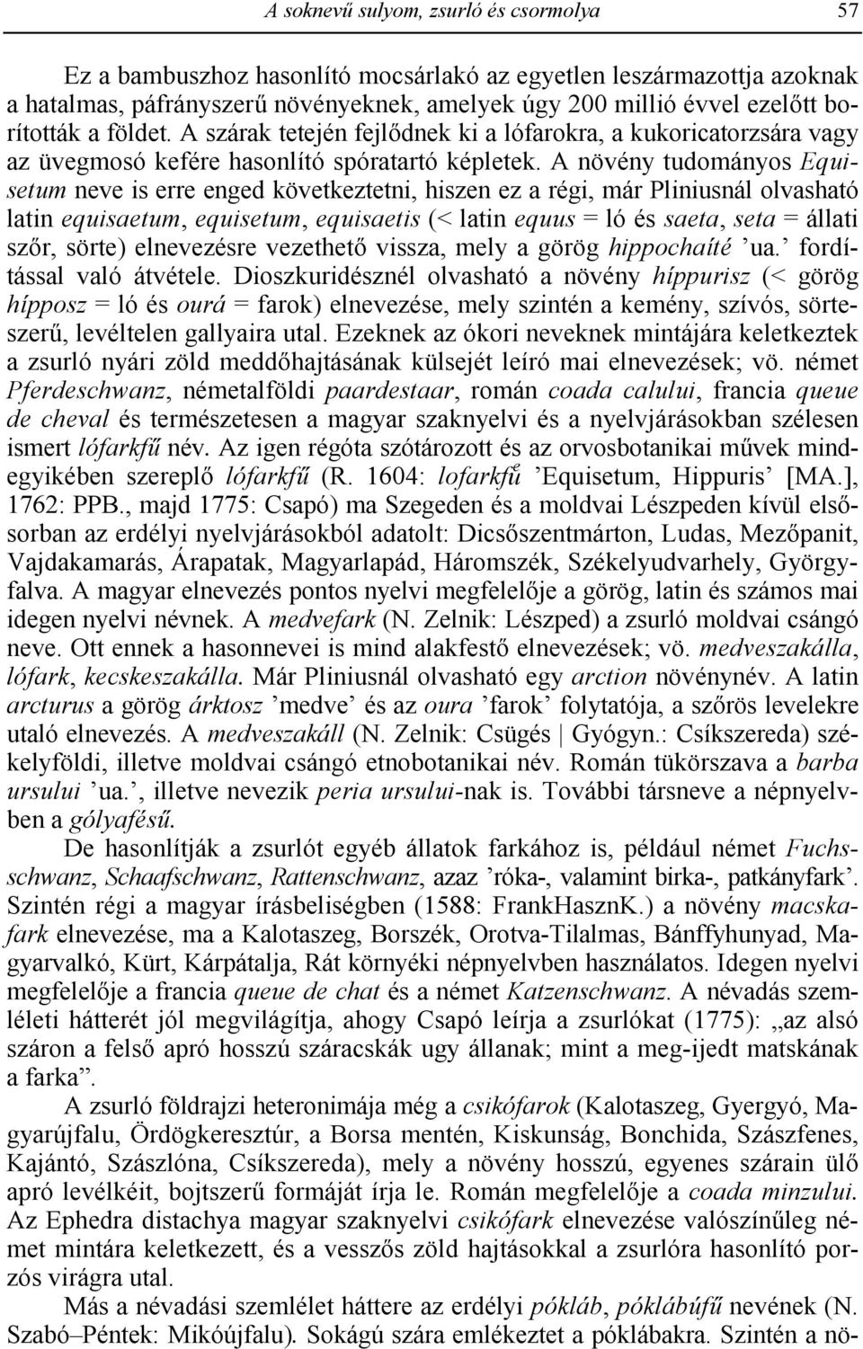 A növény tudományos Equisetum neve is erre enged következtetni, hiszen ez a régi, már Pliniusnál olvasható latin equisaetum, equisetum, equisaetis (< latin equus = ló és saeta, seta = állati szr,