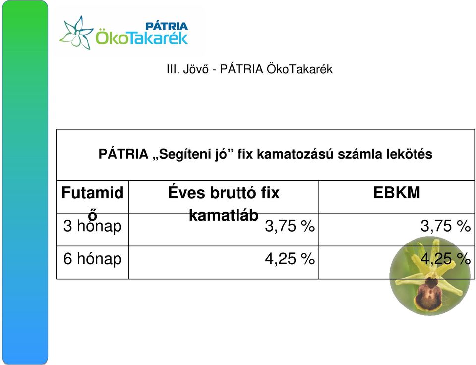 Futamid Éves bruttó fix EBKM ı 3