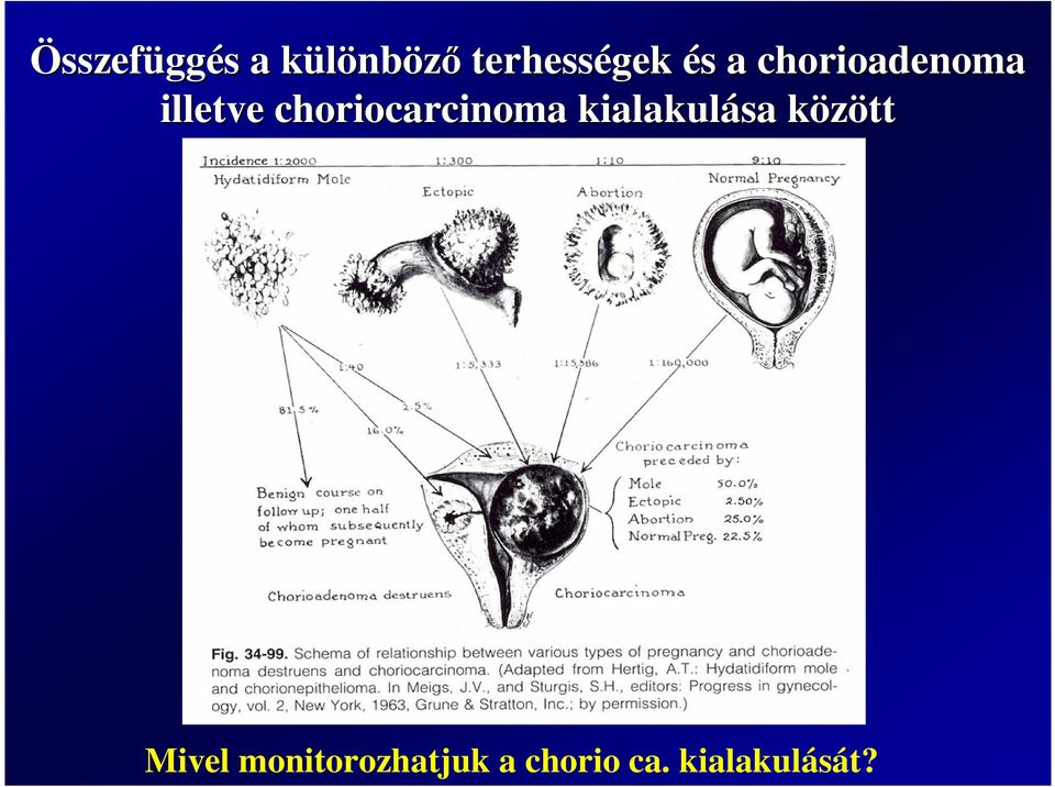 illetve choriocarcinoma kialakulása