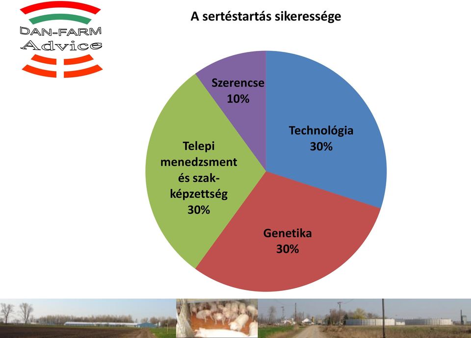 menedzsment és