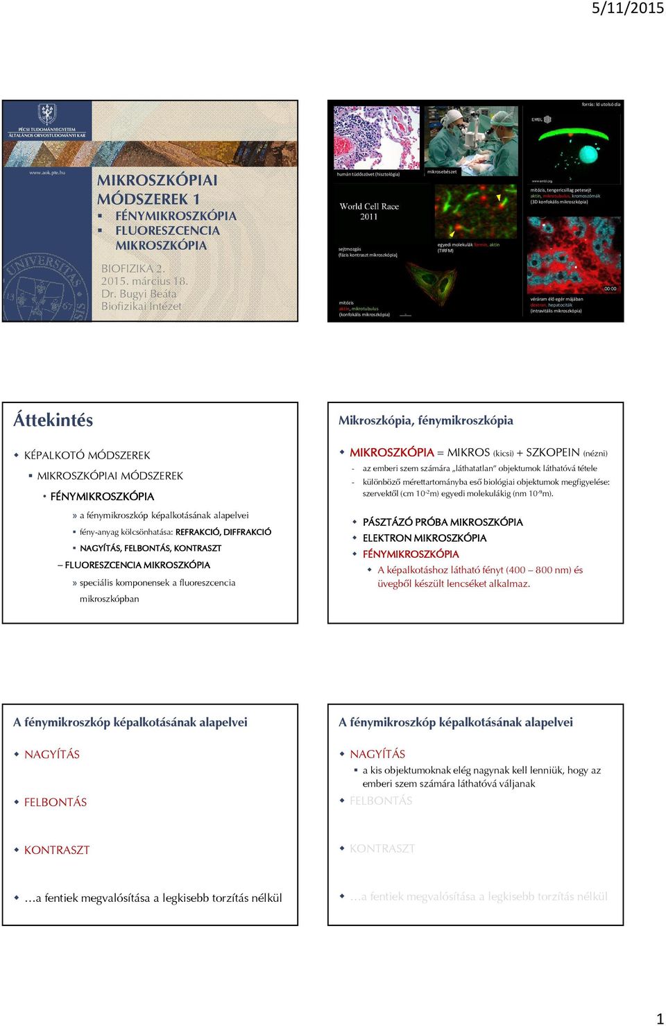 mitózis, tengericsillag petesejt aktin, mikrotubulus, kromoszómák (3D konfokális mikroszkópia) BIOFIZIKA 2. 2015. március 18. Dr.