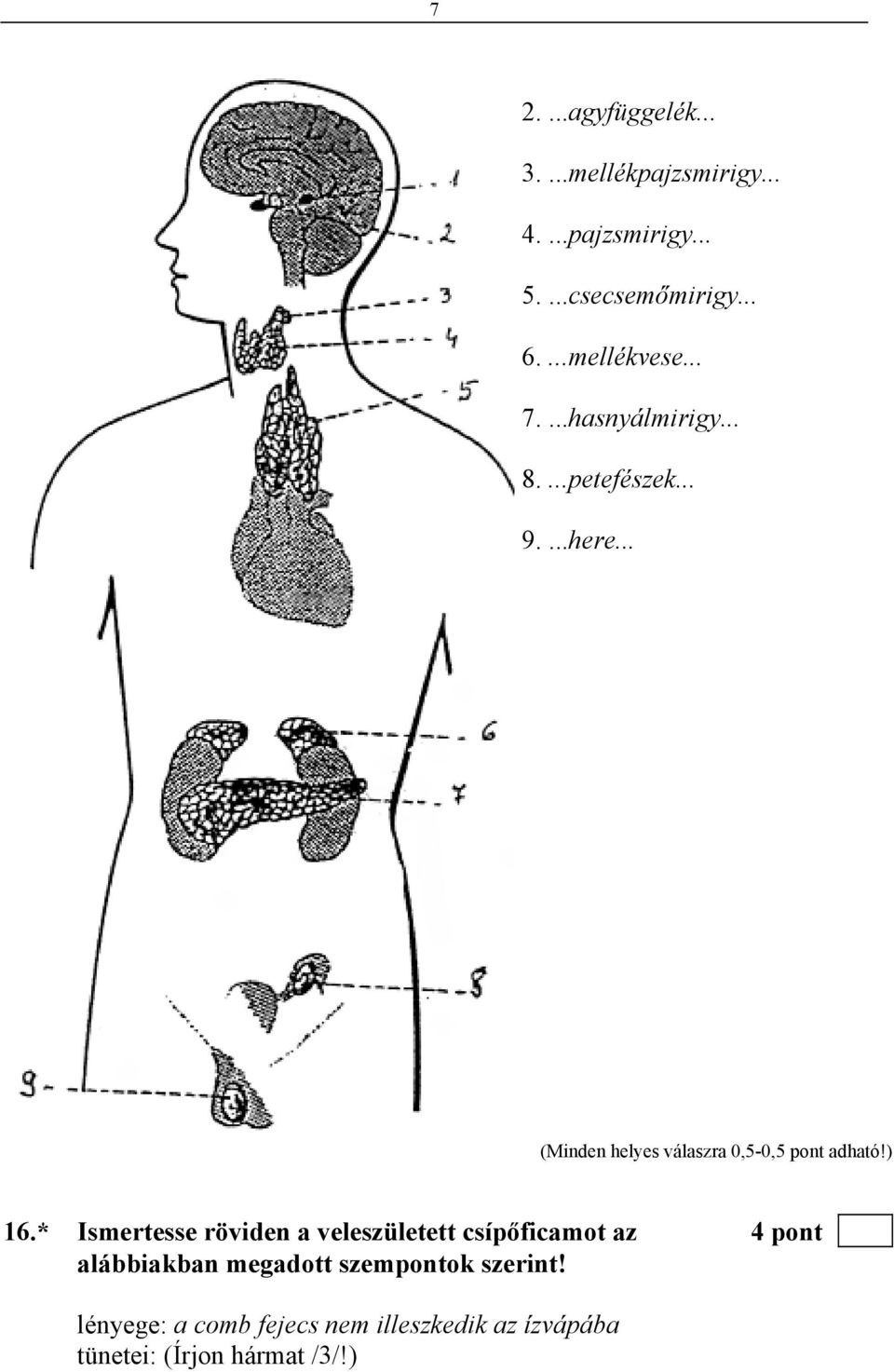 .. (Minden helyes válaszra 0,5-0,5 pont adható!) 16.