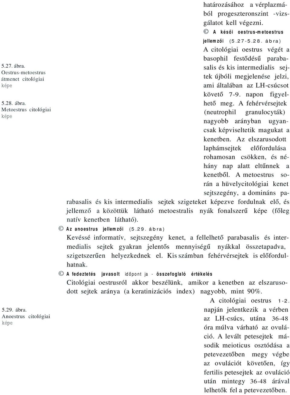 ábra) A citológiai oestrus végét a basophil festődésű parabasalis és kis intermedialis sejtek újbóli megjelenése jelzi, ami általában az LH-csúcsot követő 7-9. napon figyelhető meg.