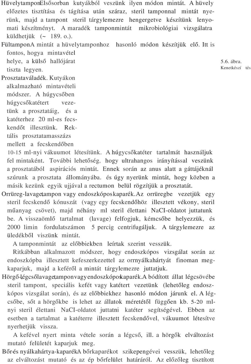 A maradék tamponmintát mikrobiológiai vizsgálatra küldhetjük (~ 189. o.). Fültampon.A mintát a hüvelytamponhoz hasonló módon készítjük elő.