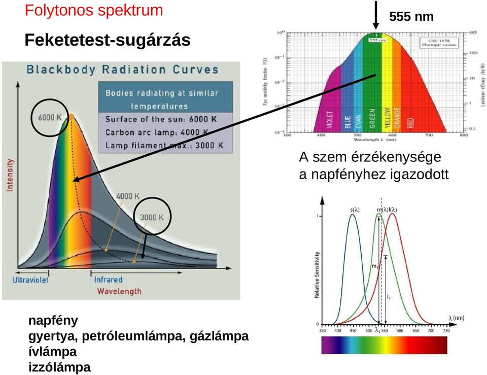 érzékenysége a napfényhez igazodott