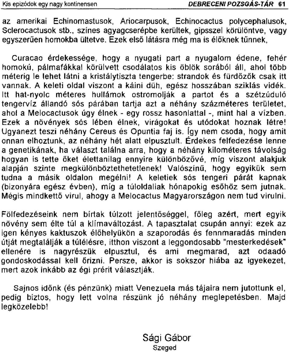 Ezek első látásra még ma is élőknek tűnnek, Curacao érdekessége, hogy a nyugati part a nyugalom édene, fehér homokú, pálmafákkal körülvett csodálatos kis öblök sorából áll, ahol több méterig le lehet