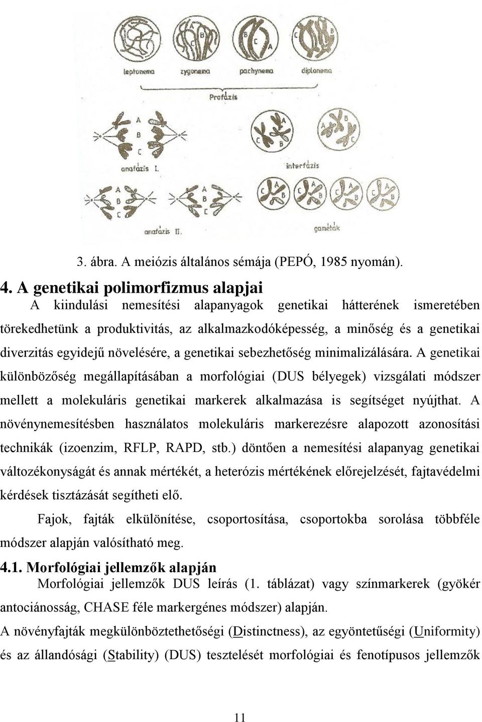 egyidejű növelésére, a genetikai sebezhetőség minimalizálására.