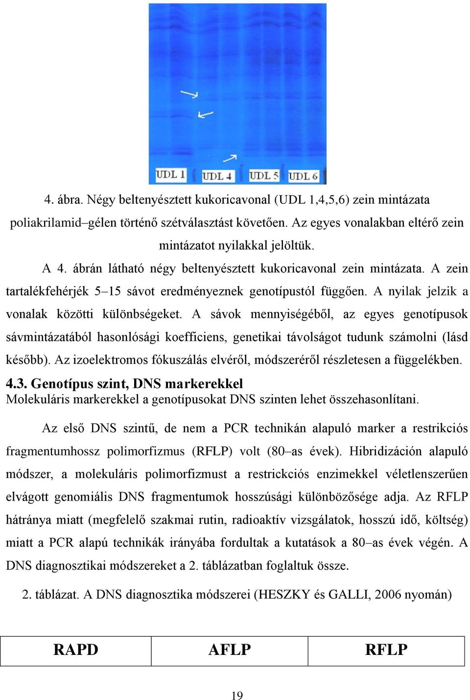 A sávok mennyiségéből, az egyes genotípusok sávmintázatából hasonlósági koefficiens, genetikai távolságot tudunk számolni (lásd később).
