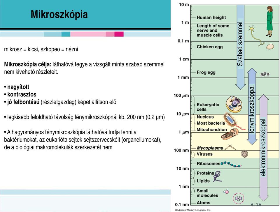 nagyított kontrasztos jó felbontású (részletgazdag) képet állítson elő legkisebb feloldható távolság fénymikroszkópnál kb.