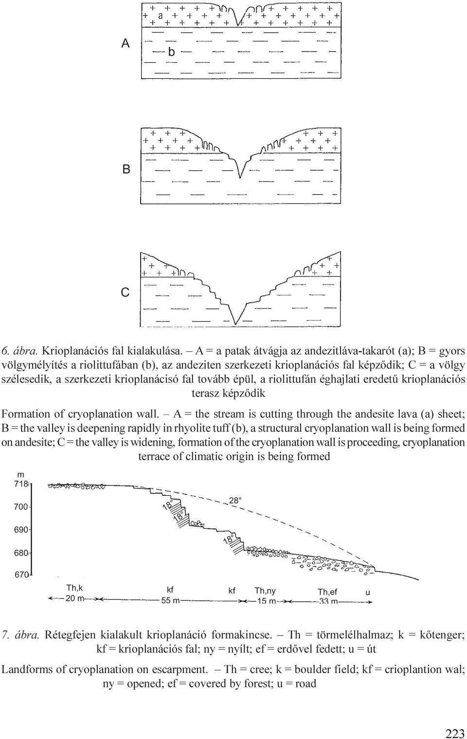 tovább épül, a riolittufán éghajlati eredetû krioplanációs terasz képzõdik Formation of cryoplanation wall.