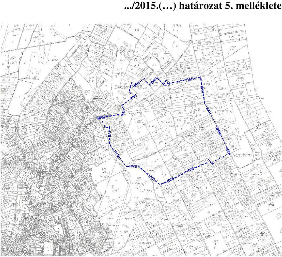 határozat