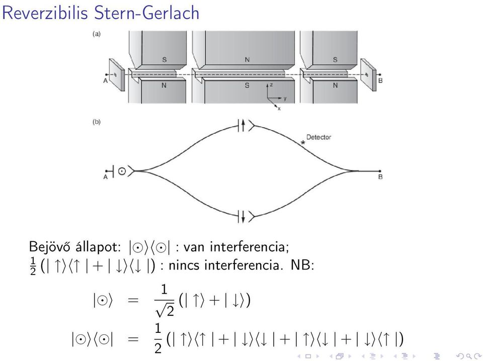 interferencia; ( + ) : nincs