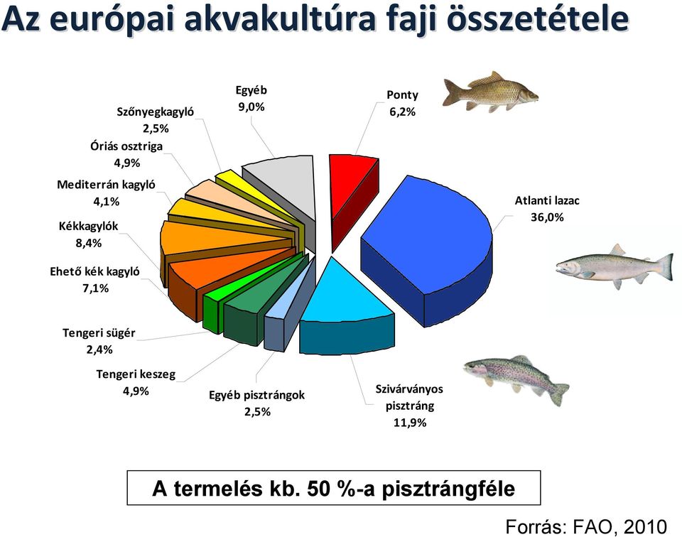 Atlanti lazac 36,0% Tengeri sügér 2,4% Tengeri keszeg 4,9% Egyéb pisztrángok 2,5%