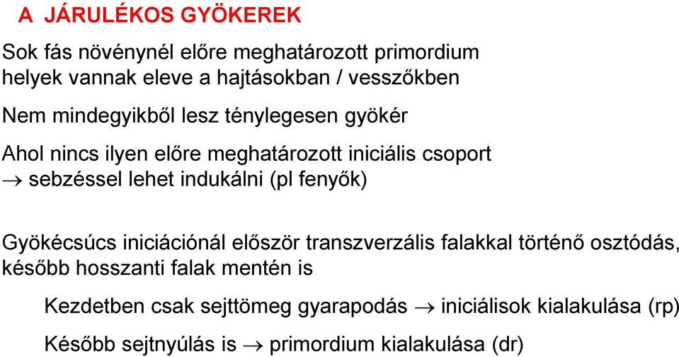 indukálni (pl fenyők) Gyökécsúcs iniciációnál először transzverzális falakkal történő osztódás, később hosszanti