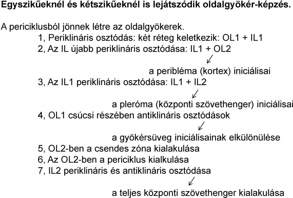 IL1 periklináris osztódása: IL1 + IL2 a pleróma (központi szövethenger) iniciálisai 4, OL1 csúcsi részében antiklináris osztódások a gyökérsüveg