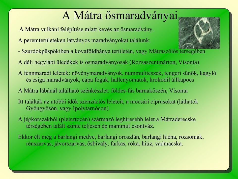 A fennmaradt leletek: növénymaradványok, nummuliteszek, tengeri sünök, kagyló és csiga maradványok, cápa fogak, hallenyomatok, krokodil állkapocs A Mátra lábánál található szénkészlet: földes-fás