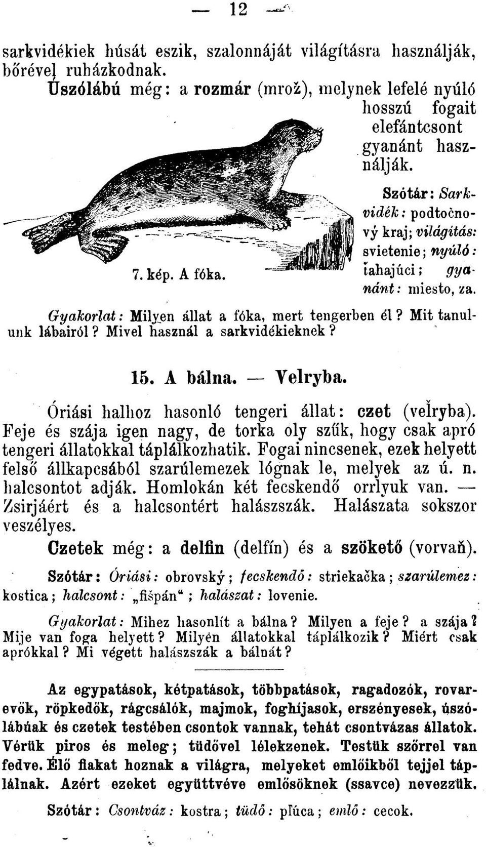 Mivel használ a sarkvidékieknek? 15. A bálna. Yelryba. Óriási halhoz hasonló tengeri állat: czet (velryba).