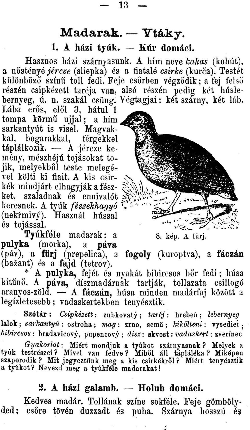 Lába eros, elol 3, hátul 1 tompa kôrmíí ujjal; a him sarkantyút is visel. Magvakkal, bogarakkal, férgekkel táplálkozik.