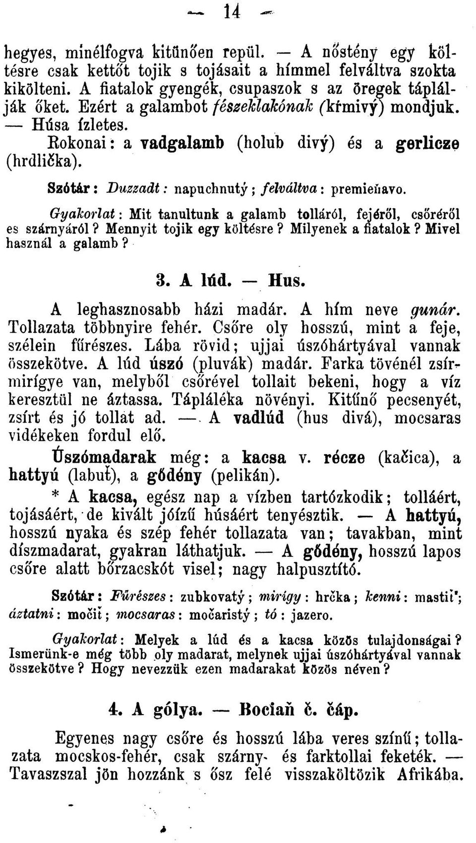 Gyalcorlat: Mit tanultunk a galamb tolláról, fejérol, csorérol es szárnyáról? Mennyit tojik egy kôltésre? Milyenek a fiatalok? Mivel használ a galamb? 3. A lúd. Hus. A leghasznosabb házi madár.