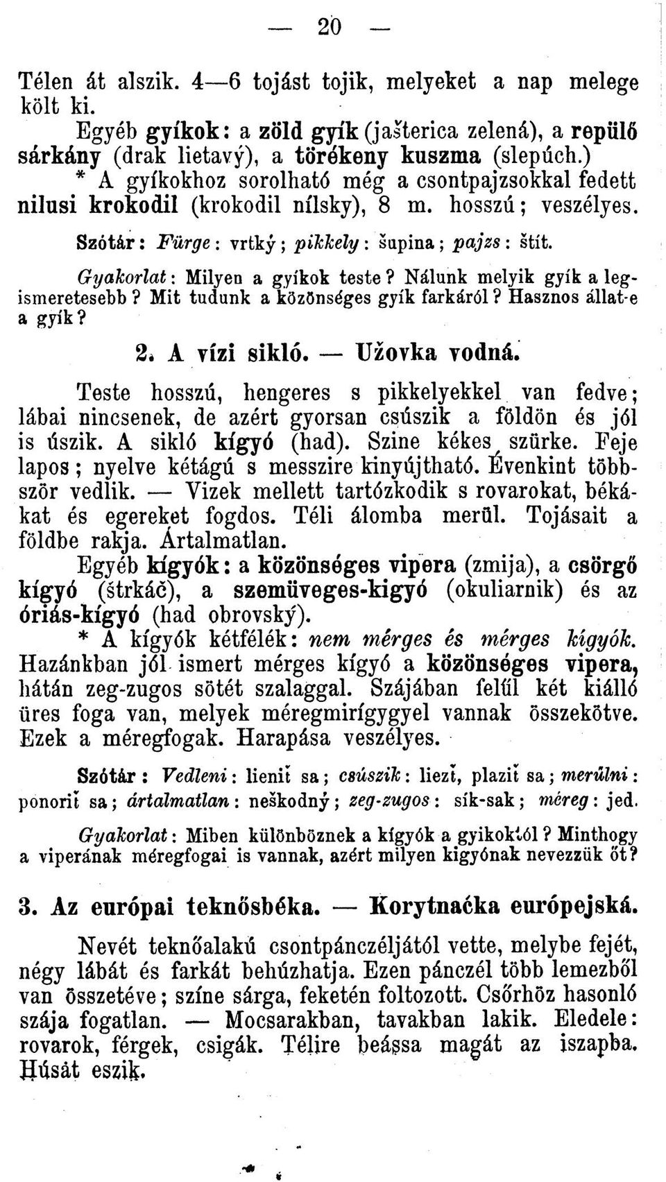 G yakorlat: Milyen a gyíkok teste? Nálunk melyik gyík a legismeretesebb? Mit tudunk a kôzônséges gyík farkáról? Hasznos állat-e a gyík? 2. A vízi sikló. Užovka vodná.