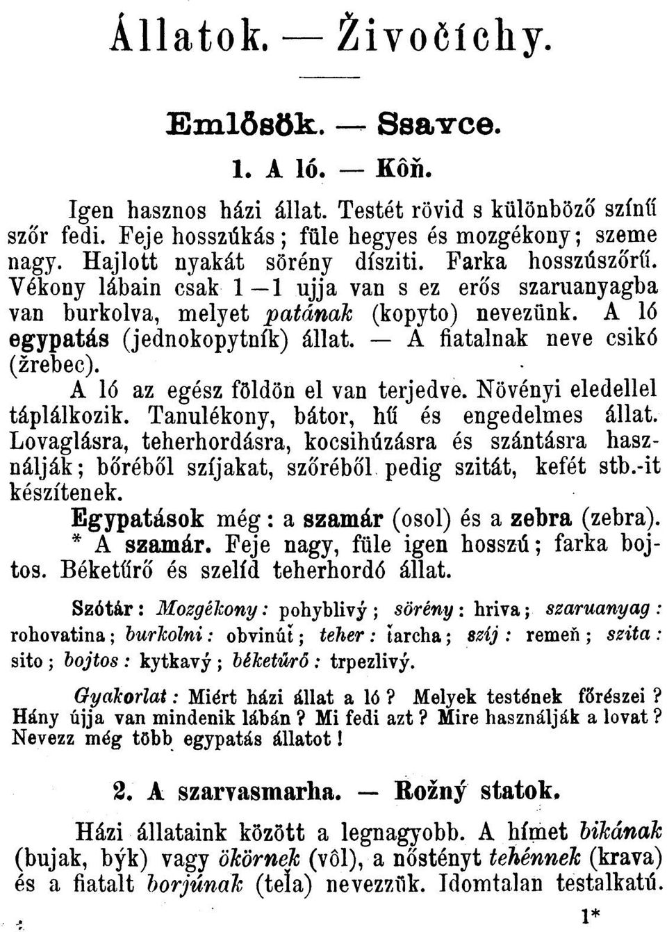 A fiatalnak neve csikó (žrebec). A ló az egész földön el van terjedve. Nôvényi eledellel táplálkozik. Tanulékony, bátor, híí és engedelmes állat.