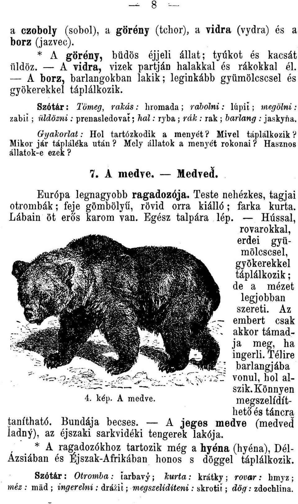 S zótá r: Tömeg, r a k á s : hromada ; ra h o ln i: lú p it; m egölni: zabit ; üldözni : prenasledoval; b a l: ryba ; rák : rak ; barlang : jaskyňa. G y a k o rla t: Hol tartózkodik a menyét?