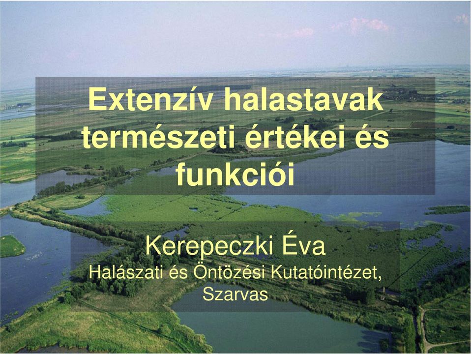 funkciói Kerepeczki Éva