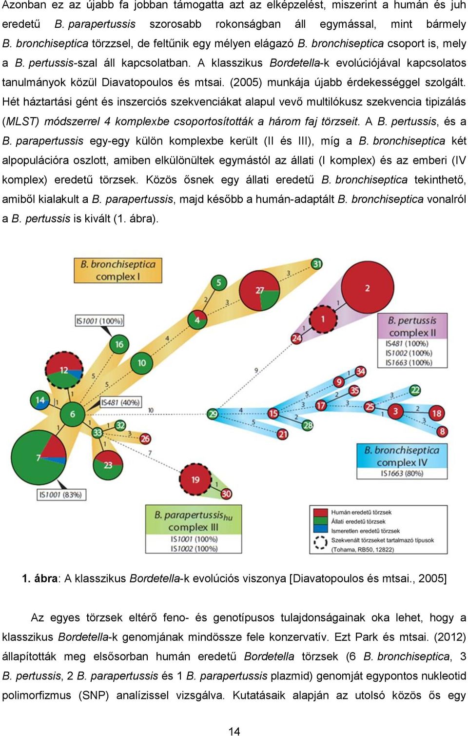 A klasszikus Bordetella-k evolúciójával kapcsolatos tanulmányok közül Diavatopoulos és mtsai. (2005) munkája újabb érdekességgel szolgált.