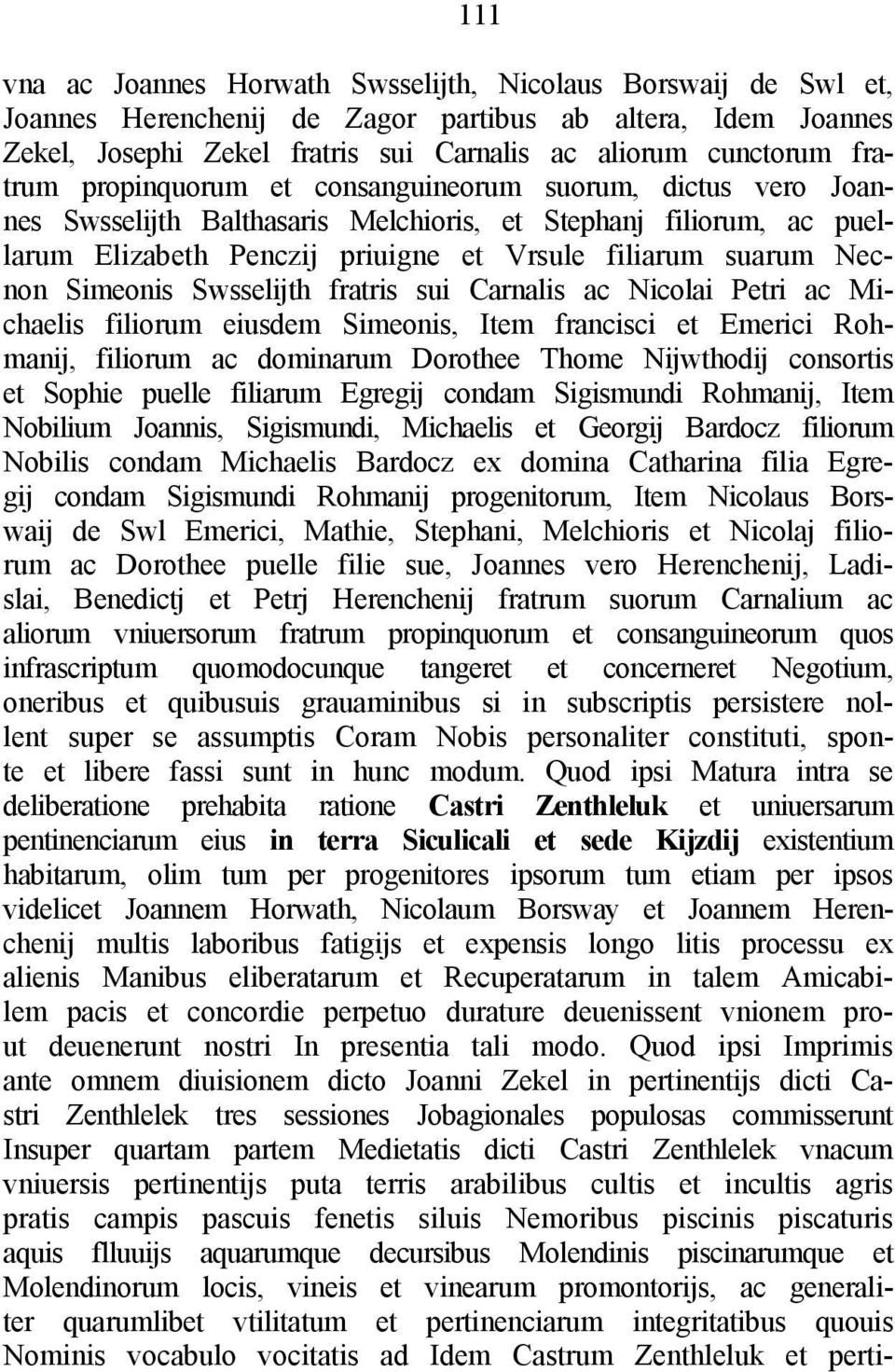 Simeonis Swsselijth fratris sui Carnalis ac Nicolai Petri ac Michaelis filiorum eiusdem Simeonis, Item francisci et Emerici Rohmanij, filiorum ac dominarum Dorothee Thome Nijwthodij consortis et