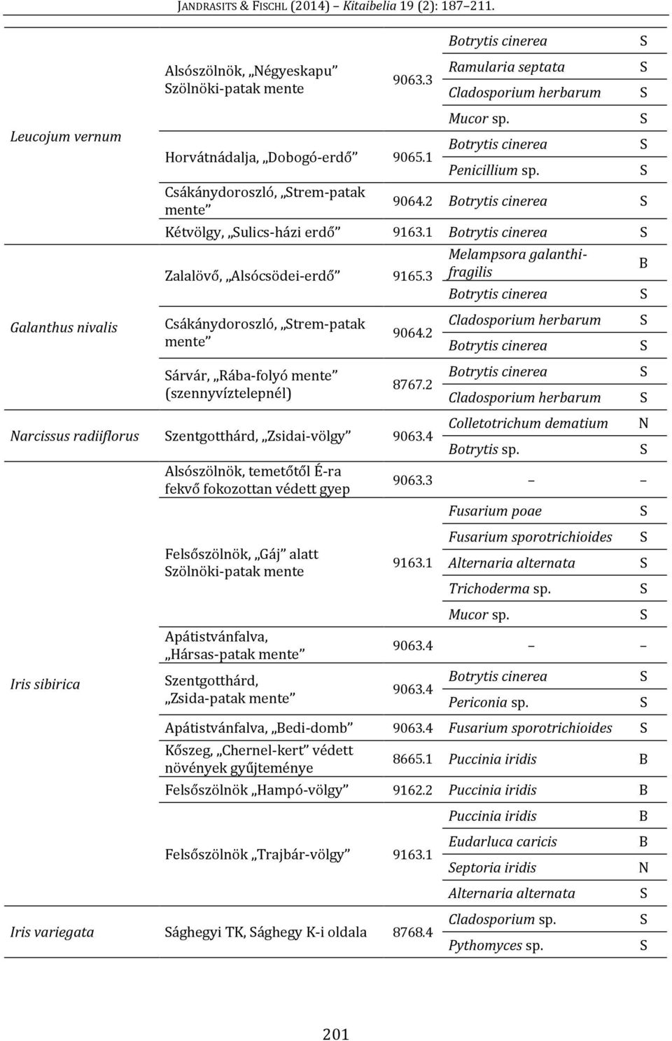 3 Csákánydoroszló, trem-patak mente árvár, Rába-folyó mente (szennyvíztelepnél) 9064.2 8767.