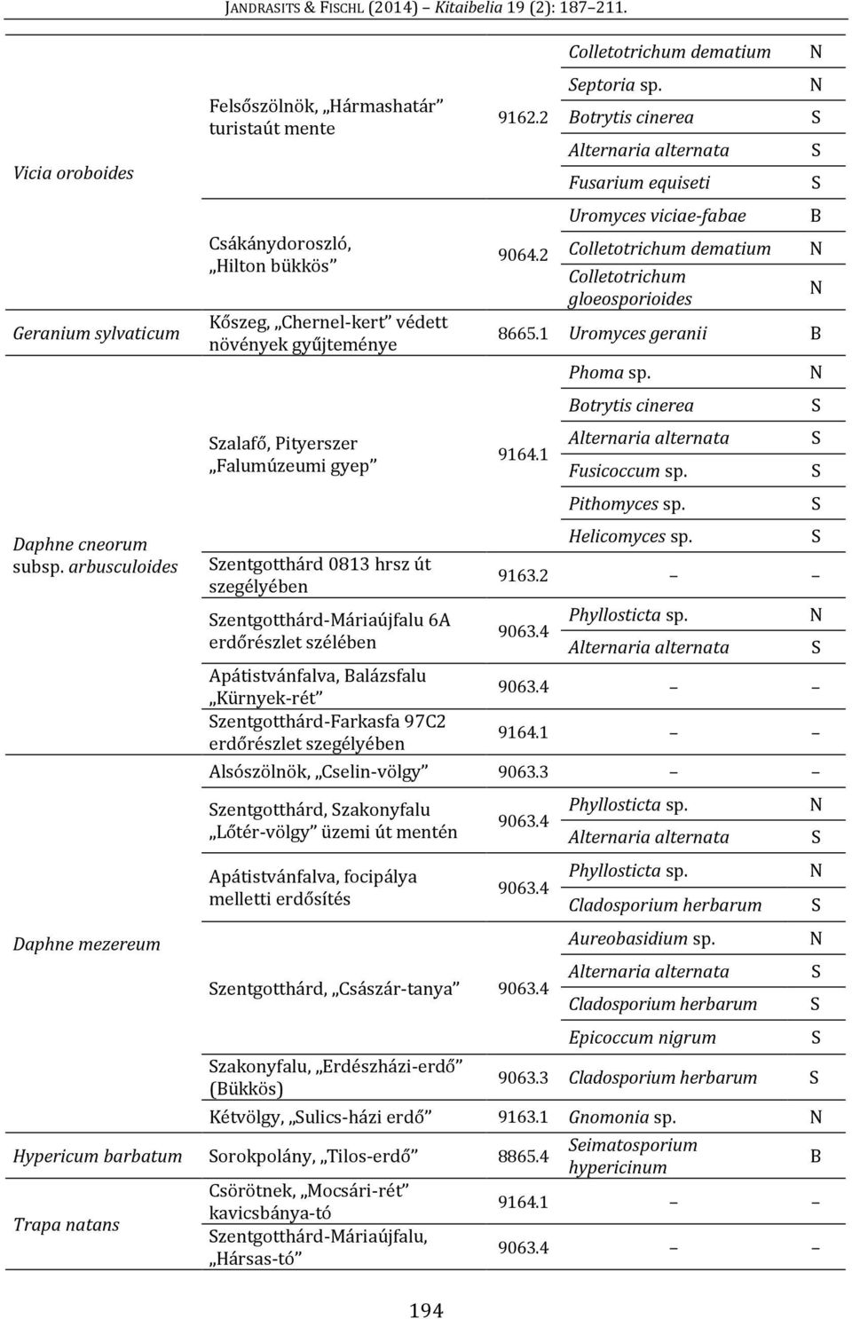 zentgotthárd-máriaújfalu 6A erdőrészlet szélében Apátistvánfalva, alázsfalu Kürnyek-rét zentgotthárd-farkasfa 97C2 erdőrészlet szegélyében 194 9162.2 9064.2 eptoria sp.