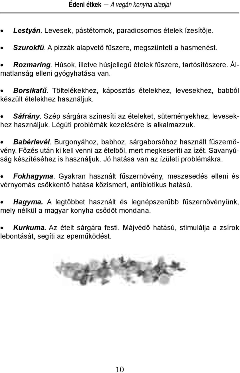 Szép sárgára színesíti az ételeket, süteményekhez, levesekhez használjuk. Légúti problémák kezelésére is alkalmazzuk. Babérlevél. Burgonyához, babhoz, sárgaborsóhoz használt fűszernövény.