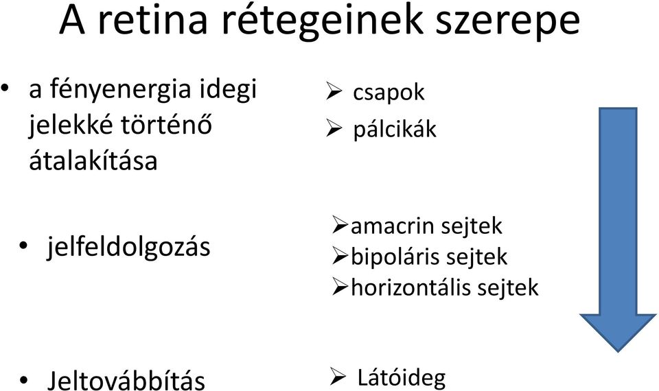 jelfeldolgozás csapok pálcikák amacrin sejtek