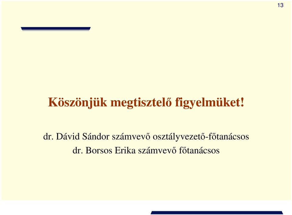 Dávid Sándor számvevı