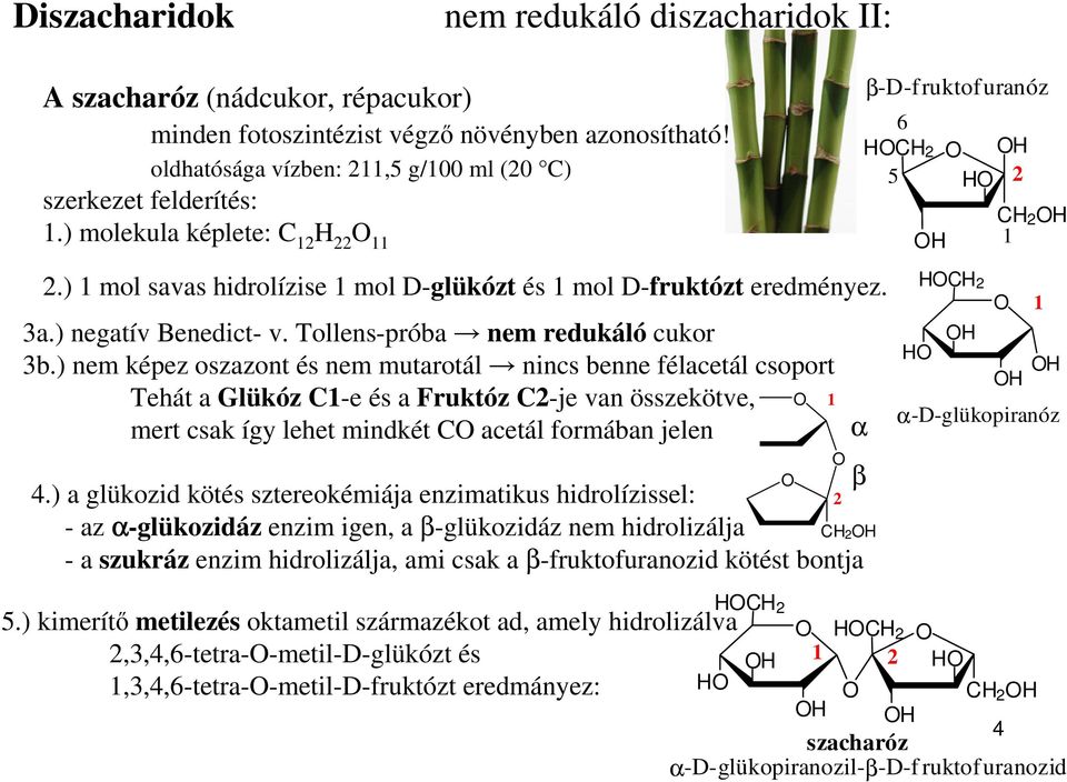 ) nem képez oszazont és nem mutarotálnincs benne félacetál csoport Tehát a Glükóz 1-e és a Fruktóz 2-je van összekötve, 1 mert csak így lehet mindkét acetál formában jelen 4.