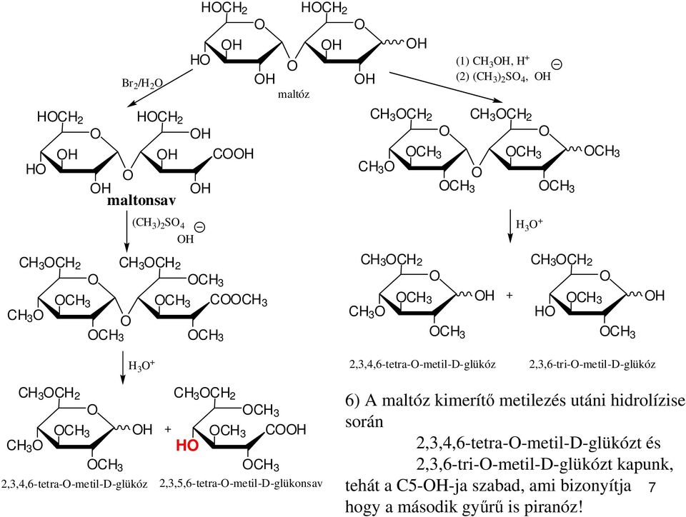 2,3,4,6-tetra--metil-D-glükóz + 3 2 3 3 3 2,3,5,6-tetra--metil-D-glükonsav 6) A maltóz kimerít metilezés utáni