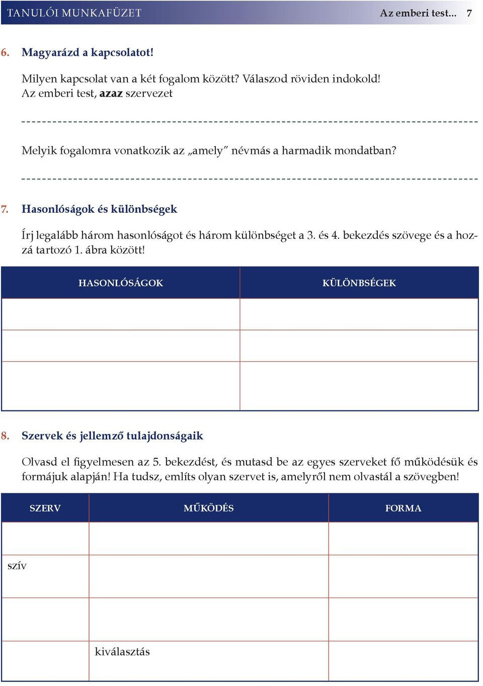 Hasonlóságok és különbségek Írj legalább három hasonlóságot és három különbséget a 3. és 4. bekezdés szövege és a hozzá tartozó 1. ábra között!