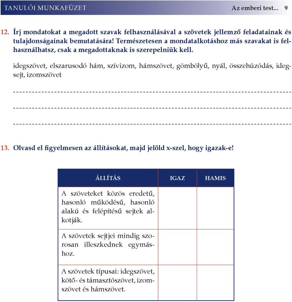 idegszövet, elszarusodó hám, szívizom, hámszövet, gömbölyű, nyál, összehúzódás, idegsejt, izomszövet 13.