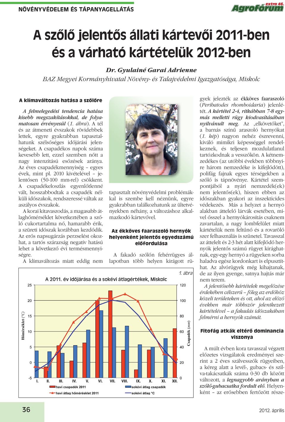 legnagyobb arányban a szőlő-gubacsatka fordult elő. Helyenként az erősebben fertőzött részea szőlő jelentős állati kártevői 2011-ben és a várható kártételük 2012-ben Dr.