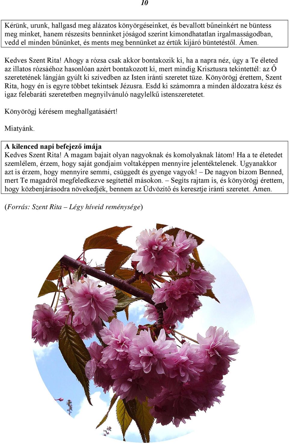 ki, mert mindig Krisztusra tekintettél: az Ő szeretetének lángján gyúlt ki szívedben az Isten iránti szeretet tüze.