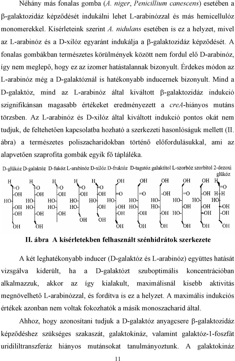 A fonalas gombákban természetes körülmények között nem fordul el D-arabinóz, így nem meglep, hogy ez az izomer hatástalannak bizonyult.