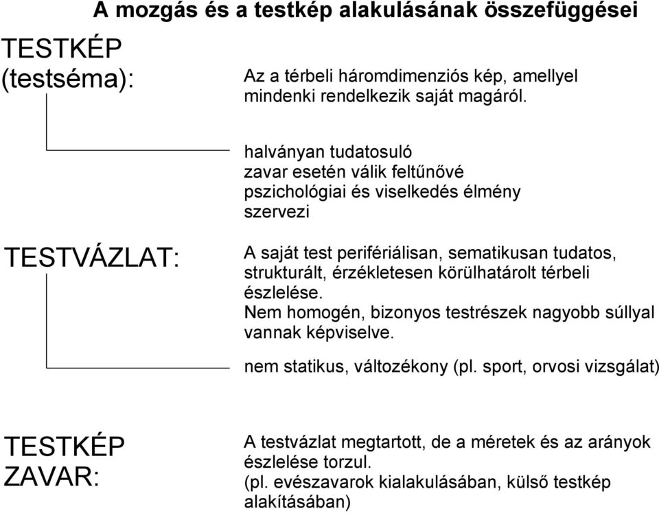 strukturált, érzékletesen körülhatárolt térbeli észlelése. Nem homogén, bizonyos testrészek nagyobb súllyal vannak képviselve. nem statikus, változékony (pl.