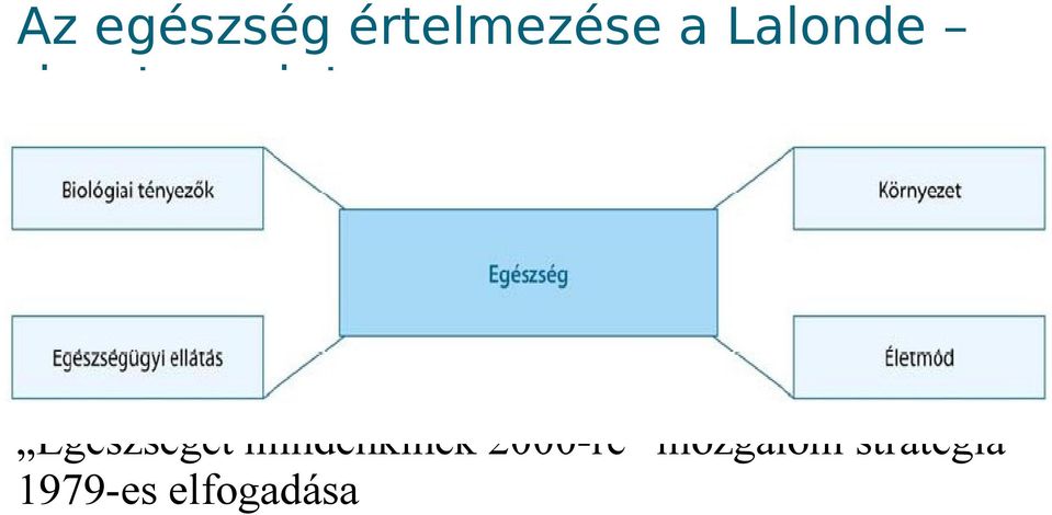 záródokumentuma: Egészséget