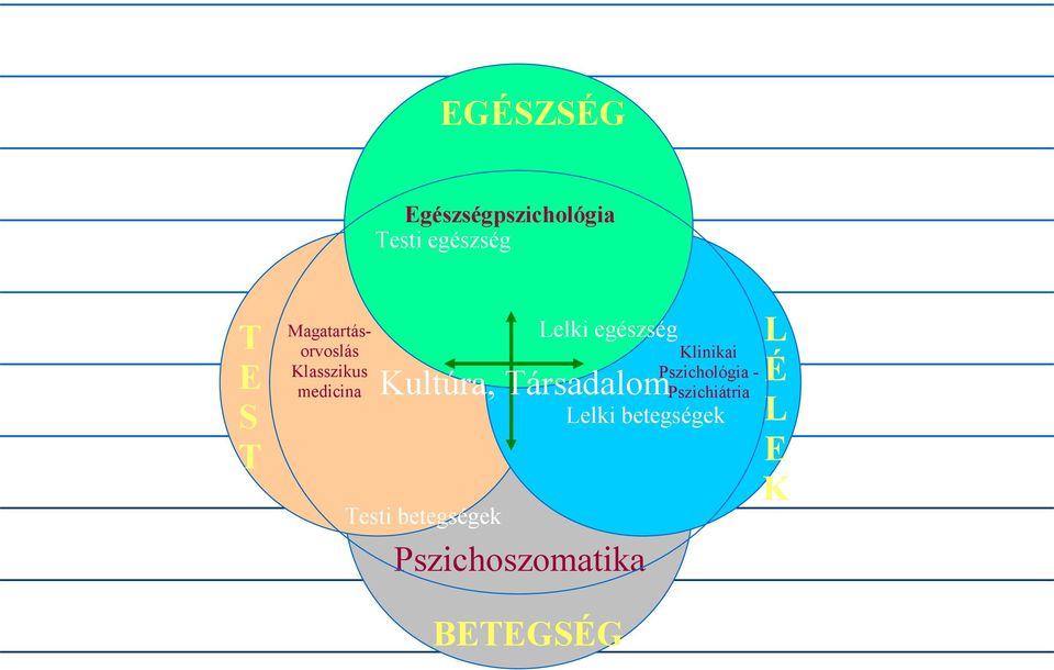 betegségek Lelki egészség Kultúra, Társadalom Pszichoszomatika