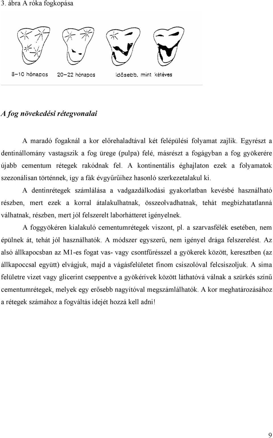 A kontinentális éghajlaton ezek a folyamatok szezonálisan történnek, így a fák évgyűrűihez hasonló szerkezetalakul ki.